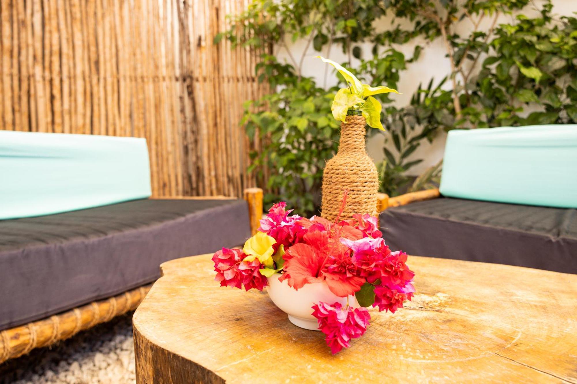 Hakuna Matata Boutique パジェ エクステリア 写真
